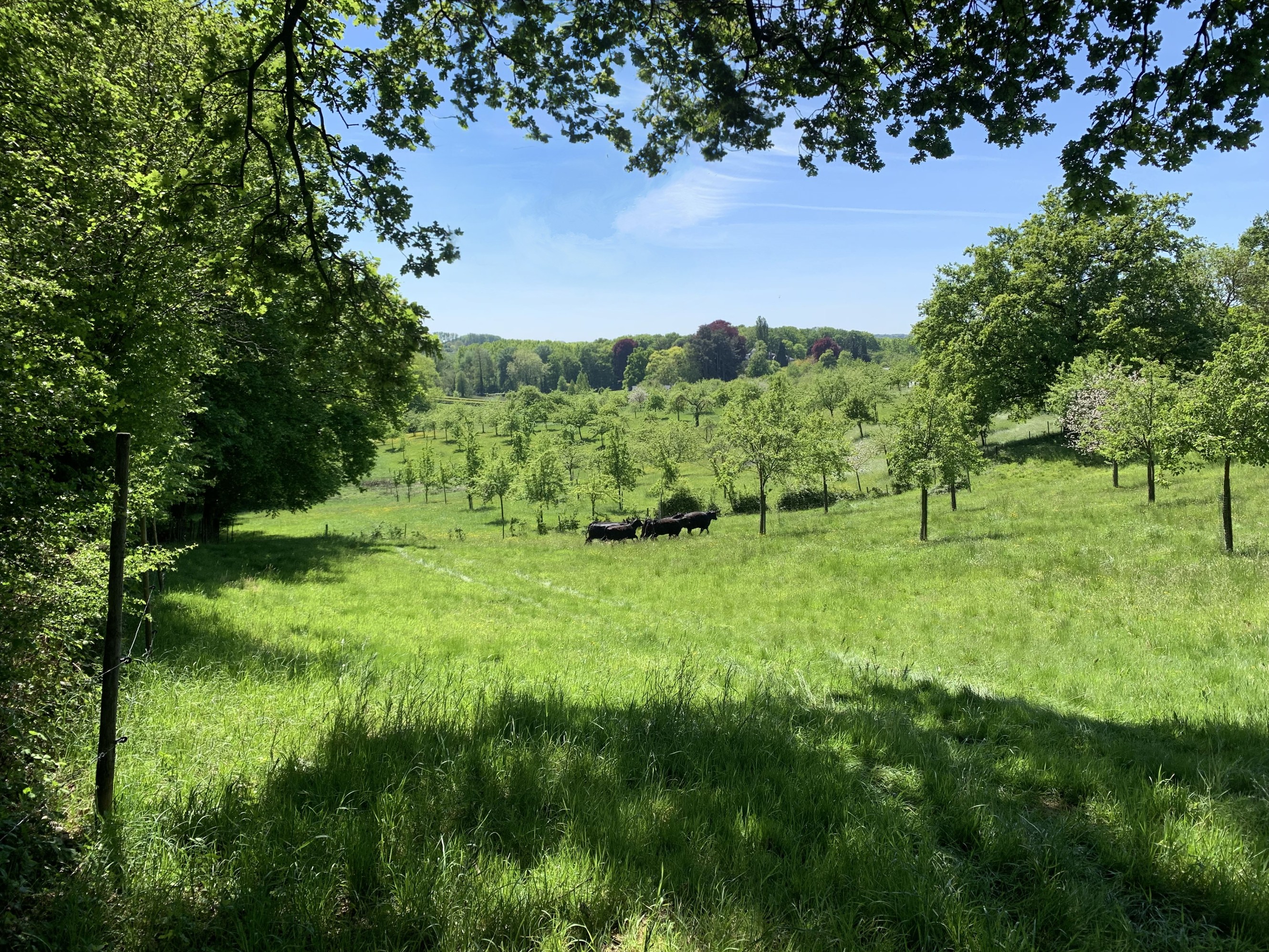 printhagen agro